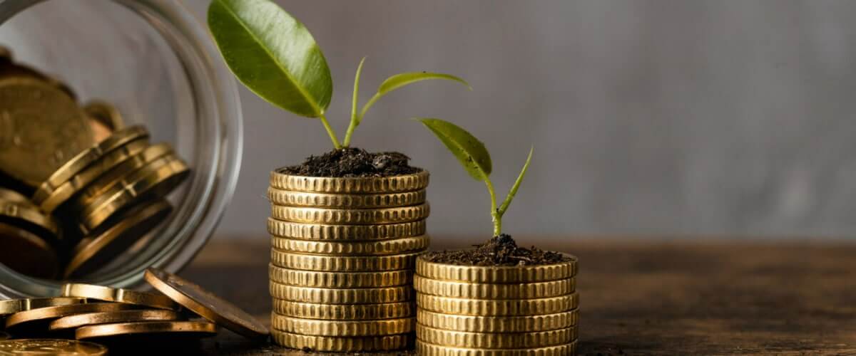 Investment Portfolio Management