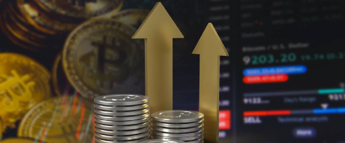 Diversified Investments Strategies in Portfolio Management Services