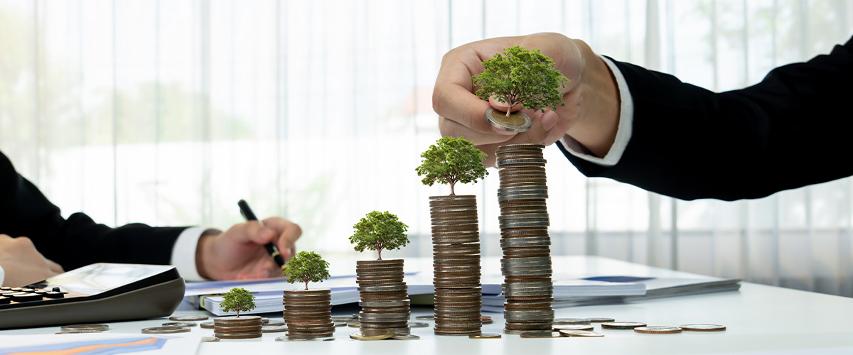 Professional Wealth Management Services for Wealth Preservation